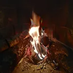La Picota 4*