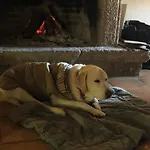 La Picota 4*