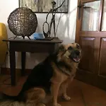 La Picota 4*