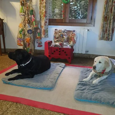 La Picota 4* Valverde de la Vera