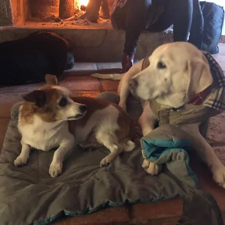 La Picota Hotel Valverde de la Vera