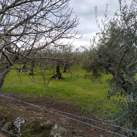 La Picota