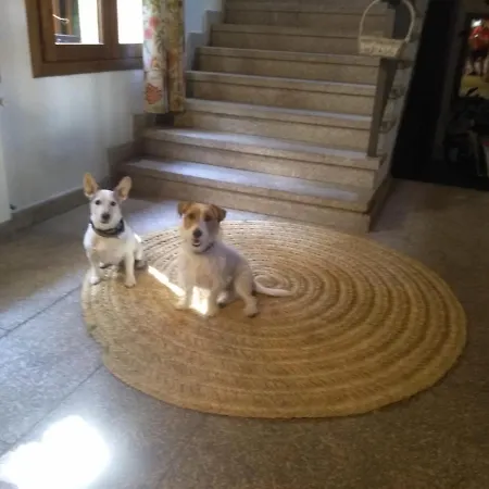 La Picota Valverde de la Vera