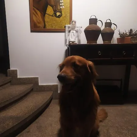 La Picota Hotel Valverde de la Vera