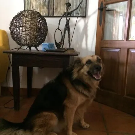 La Picota 4*