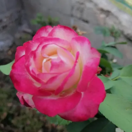 La Picota