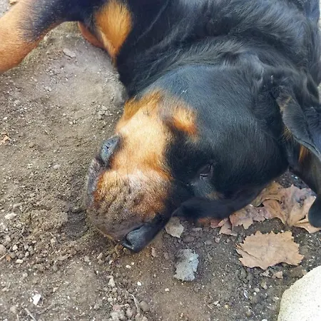 Отель La Picota 4*