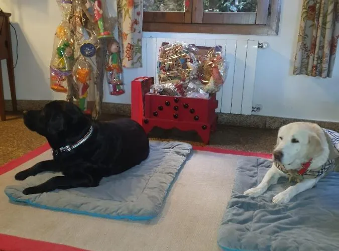 La Picota 4* Valverde de la Vera