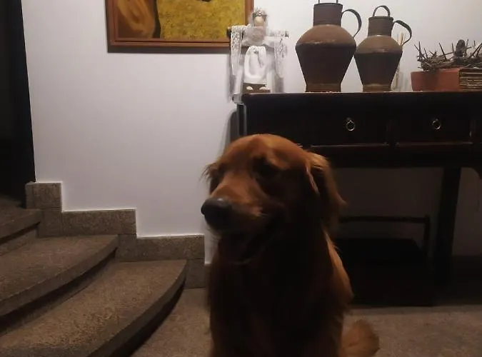 La Picota Otel Valverde de la Vera