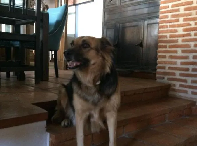 La Picota 4* Valverde de la Vera