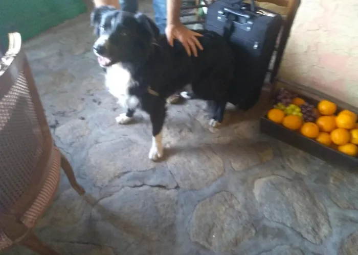 מלון La Picota 4*